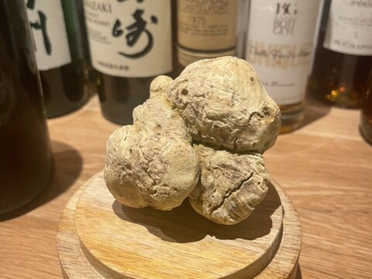 tens.で実際にいただいた料理（3/10）