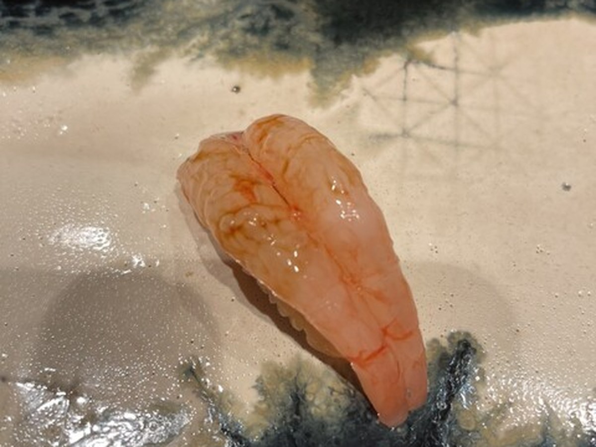 鮨 龍次郎で実際にいただいた料理(9/10)