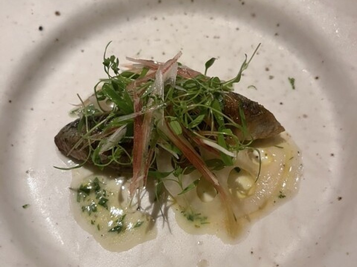 TACUBO 白金台で実際にいただいた料理（6/10）