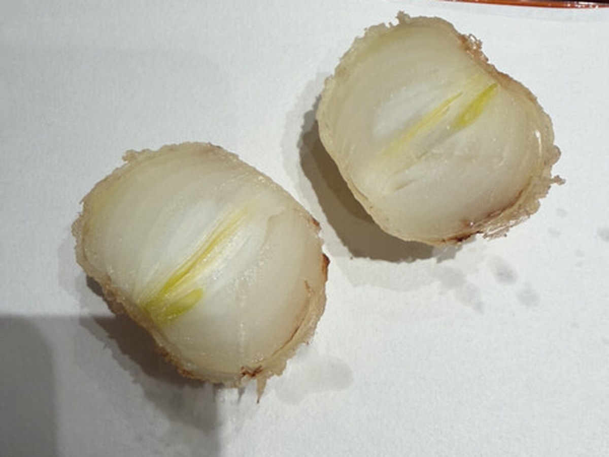 てんぷら 近藤で実際にいただいた料理（10/10）