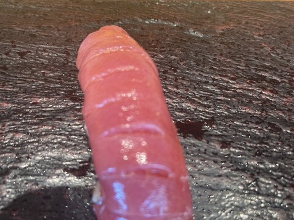 SUSHI TOKYO TEN、 横浜店で実際にいただいた料理（1/10）