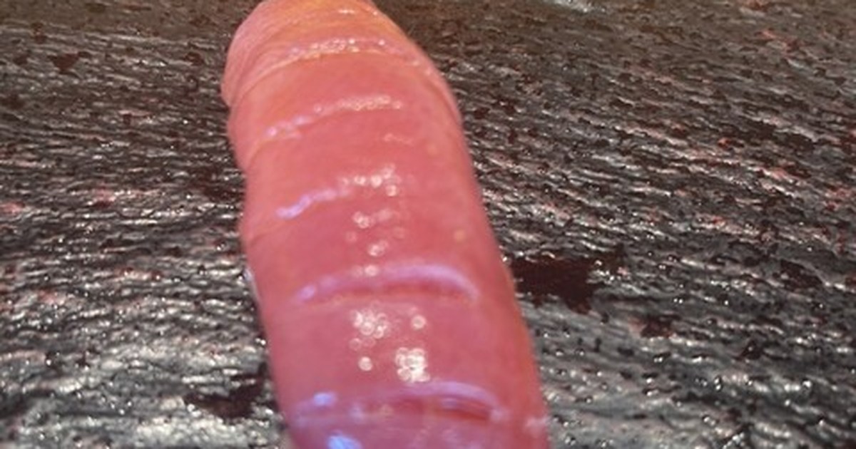 SUSHI TOKYO TEN、 横浜店を訪問レポ!ゆったり楽しむ中トロと職人技の握り