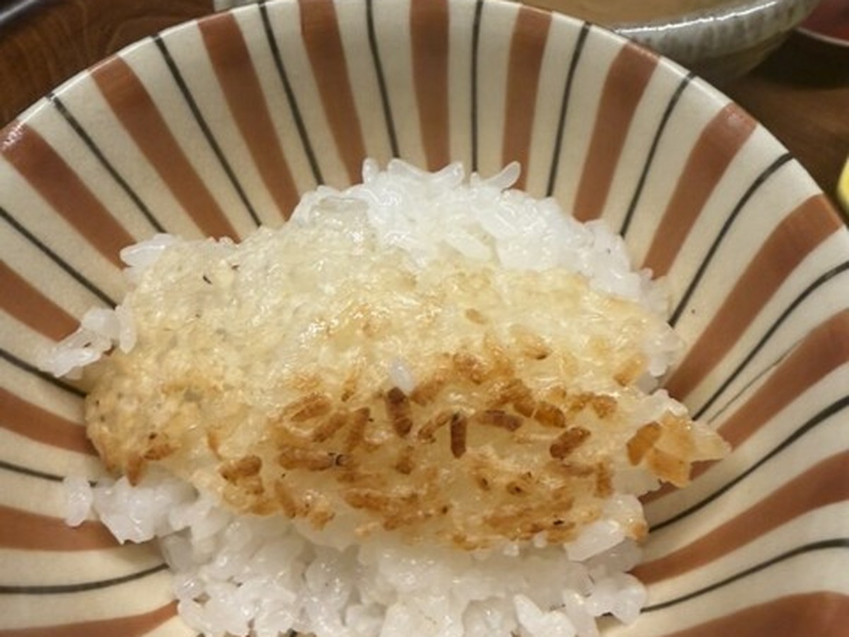 馳創吼龍で実際にいただいた料理(9/9)